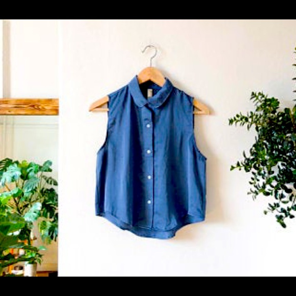 American Apparel sleeveless blue button down crop